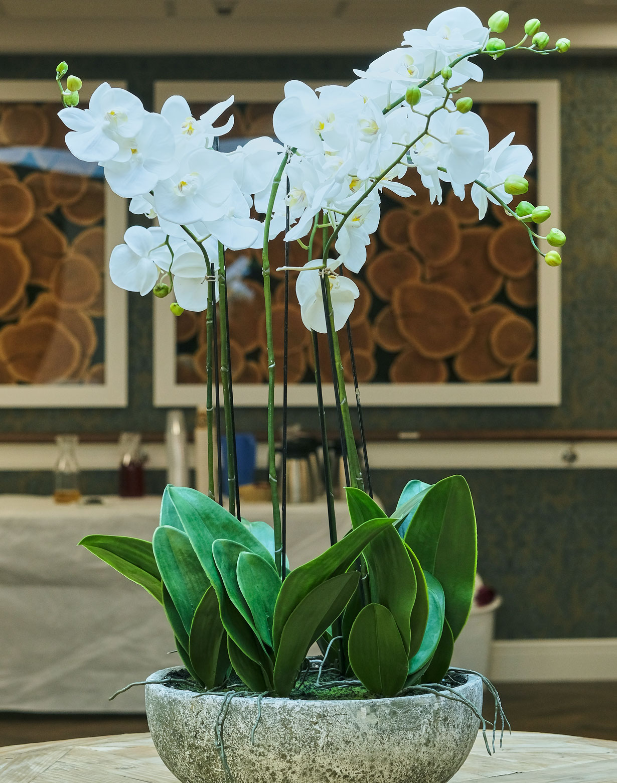 Lynn Valley Care Centre Dining Room orchids