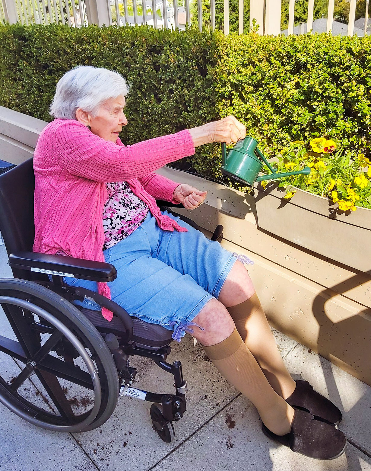 elderly lady in wheelchair waters flowers in a garden