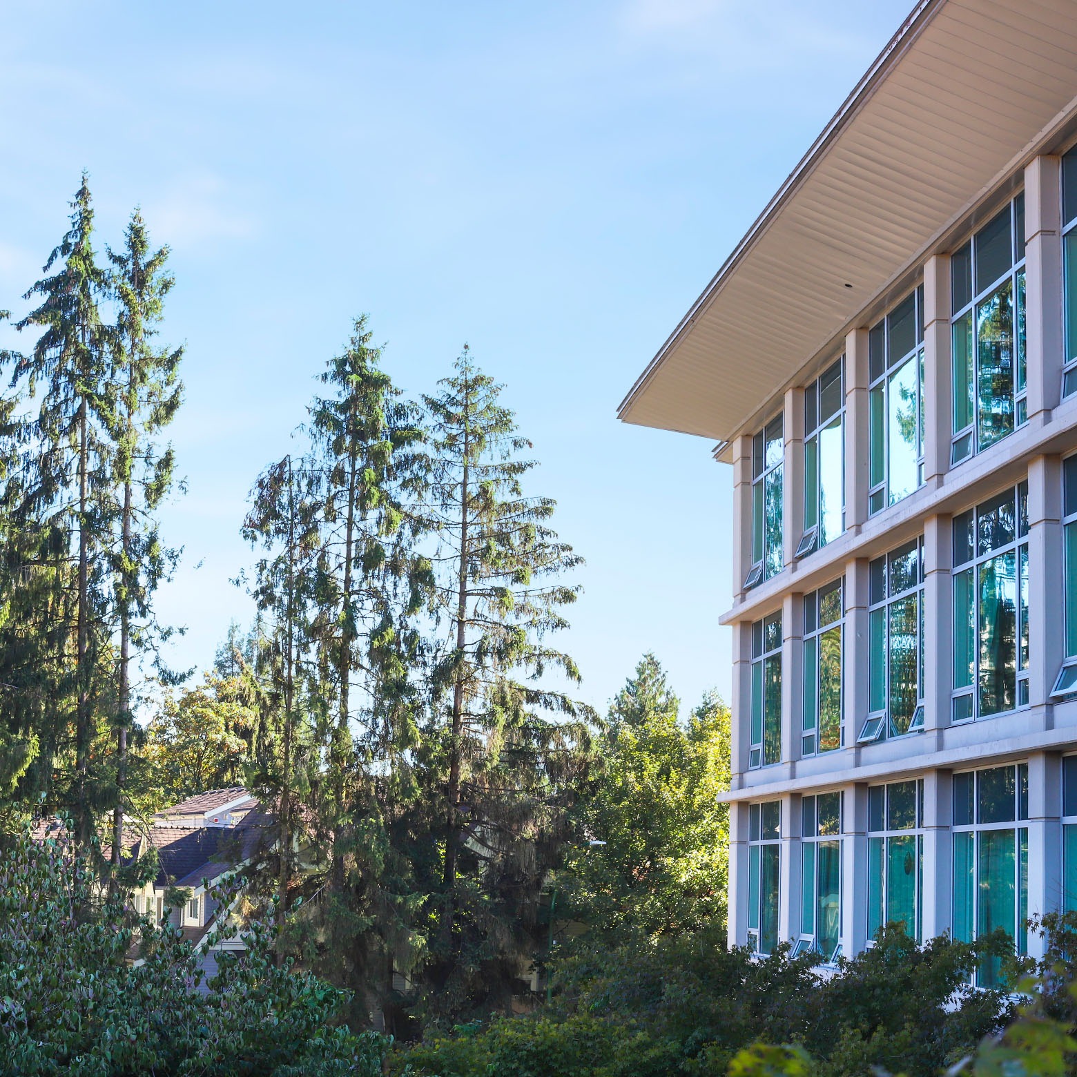 outside of lynn valley lodge on a sunny day