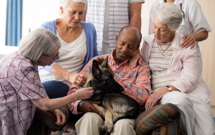 Seniors enjoy Pet Therapy stroking dog while sitting on couch at retirement home
