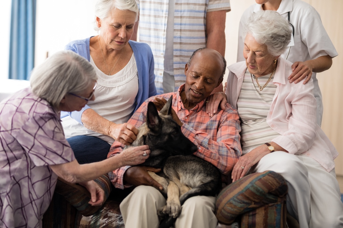 Seniors enjoy Pet Therapy stroking dog while sitting on couch at retirement home